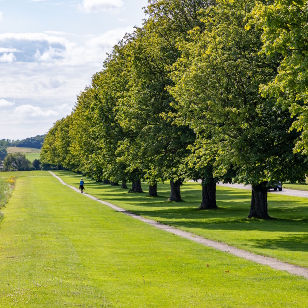 Outdoor space at Wrest Park, Wrest Park Ltd in Silsoe