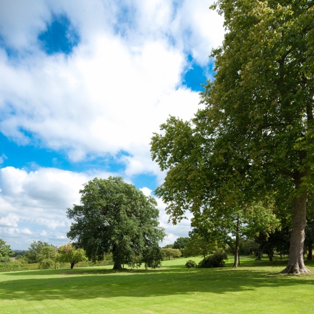Outdoor area - Horseshoe Hill, Shire Properties (South East) Ltd in Waltham Abbey