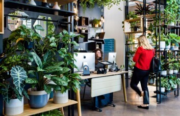 Reception area at Long Lane, Uncommon in Borough
