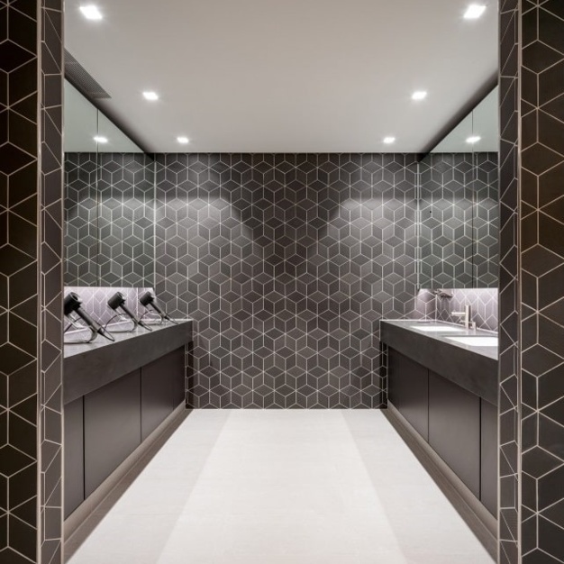 WC for clients - Holborn Viaduct, Frameworks (Chancery Lane)