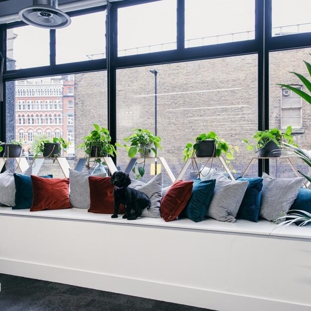 Client Breakout space - Farringdon Lane, Knotel in Clerkenwell