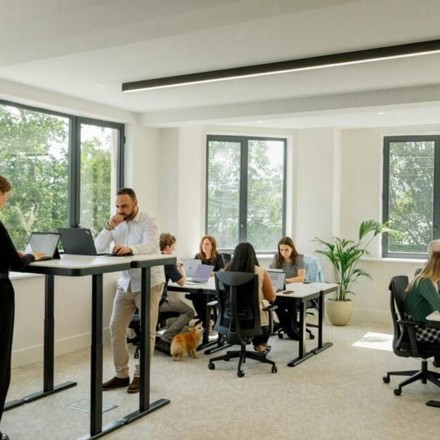 Dedicated workspace in Eversholt Street, Halkin Management, Euston