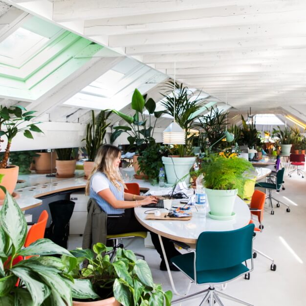 Private workspace in Princes Place, Holland Park - Second Home Ltd