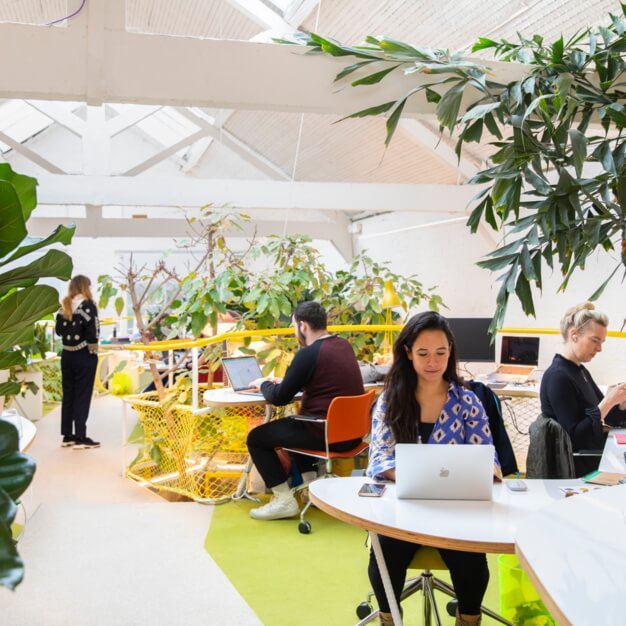 Private workspace in Princes Place, Second Home Ltd (Holland Park)
