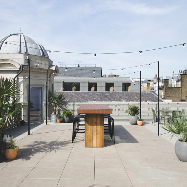 Roof terrace in Wimpole Street, FORA, Marylebone