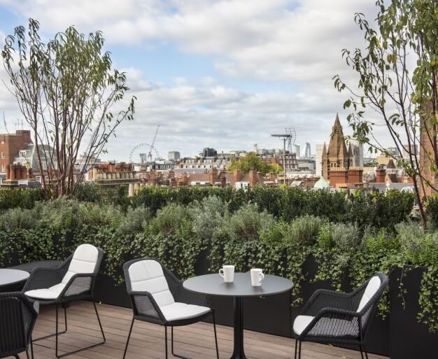 Outdoor space at North Audley Street, Argyll (Mayfair)