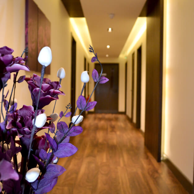 Hall/access at High Road, Icon Offices Ltd (Romford)