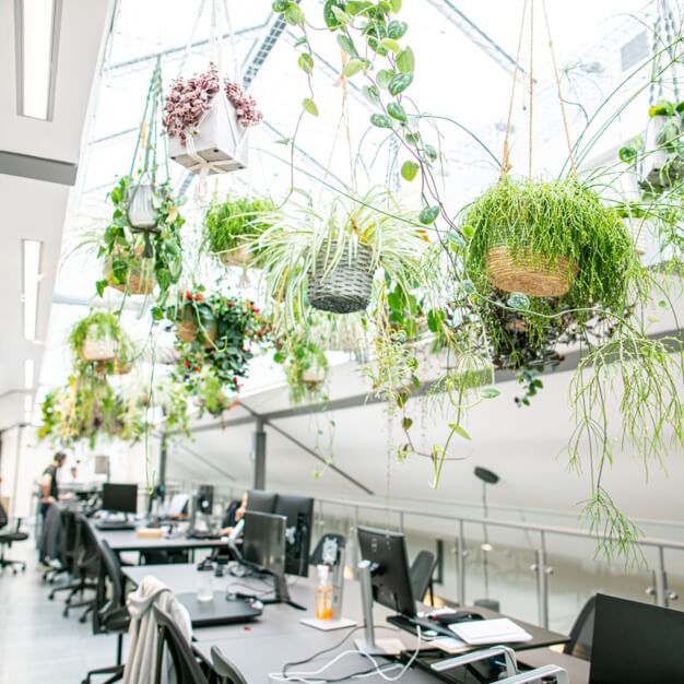 Your private workspace, Heneage Street, X and Why Ltd, Spitalfields