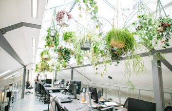 Your private workspace, Heneage Street, X and Why Ltd, Spitalfields