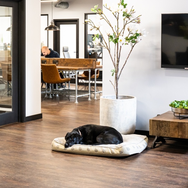 The hallway in Bridge Road, Freshmill Ltd, Haywards Heath