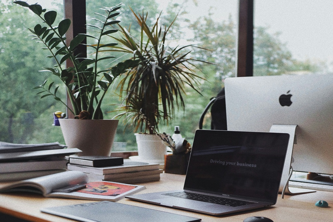 What is a Garden Office? Advantages, Disadvantages and FAQ's