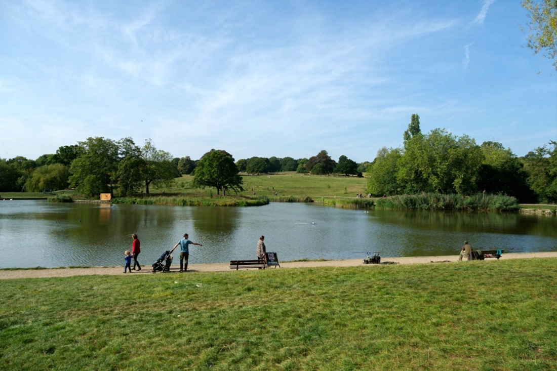 green space for relaxing